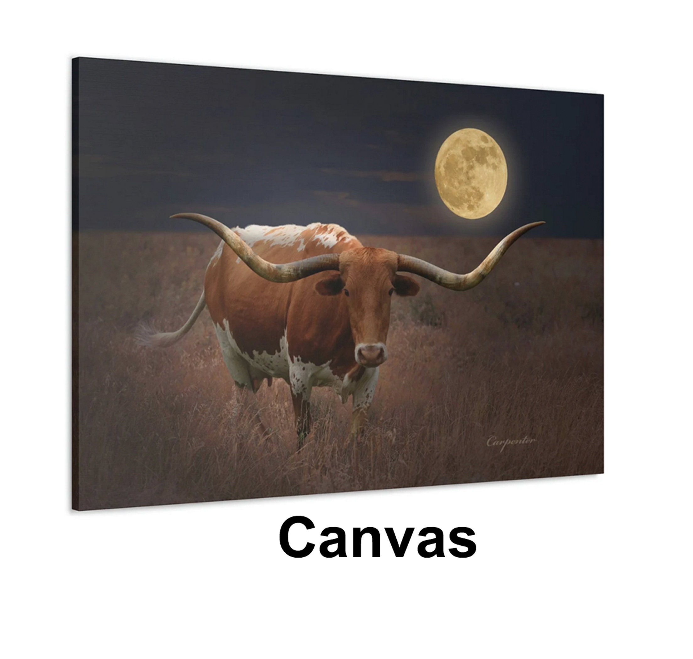 Texas Longhorn Cow Gallery Wrap Canvas, Longhorn Cow In Moonlight, Country, Night, Farmhouse, Cowboy, Wall Art, Wall Decor