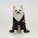 see more listings in the Dogs section