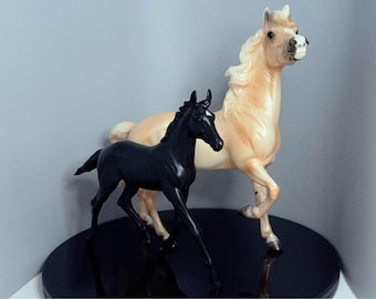 Breyer Cloud en Encore