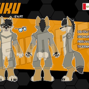 3 SIDED Male Fox Reference Sheet Base (PNG file)