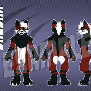 3 SIDED Female Fox Reference Sheet Base (PNG file)