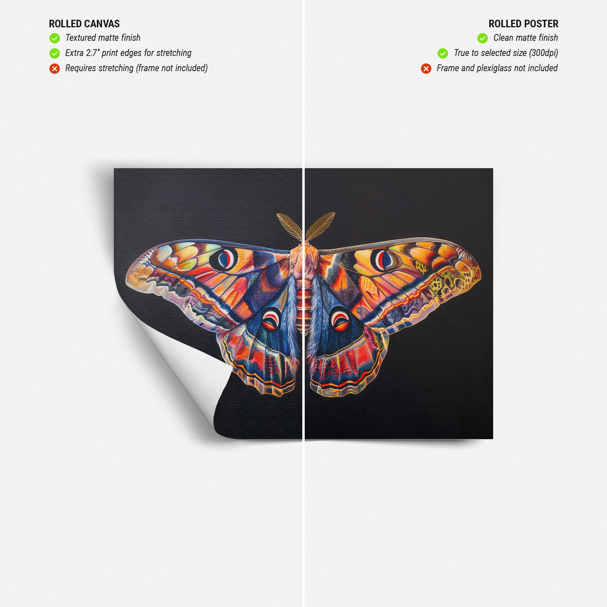 SelUm Canvas painting wall art posters|White Fuzzy Fluffy Moth Sitting on a Tree|50x70cm|no frame