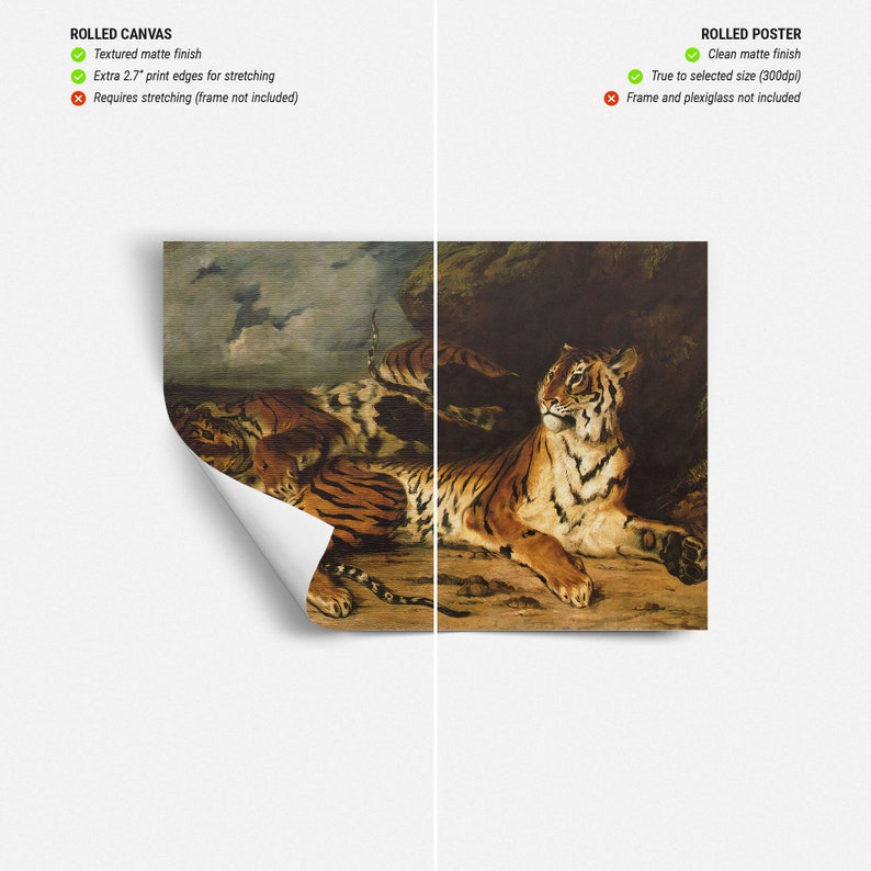 May include: Rolled canvas and rolled poster prints of a classic painting featuring tigers. The canvas print has a textured matte finish and extra print edges for stretching. The poster print has a clean matte finish and is true to size.