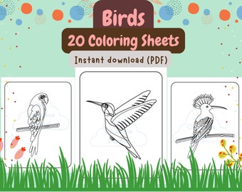 Bird Coloring Pages, Birds Coloring Book for Kids, Bird Printable Activity Sheets for Kids, Digital Download