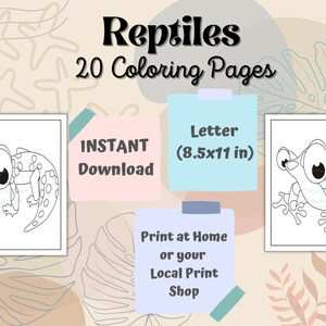 Reptile Coloring Pages, Reptile Coloring Book, Reptile Printable ...