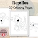 Reptile Coloring Pages, Reptile Coloring Book, Reptile Printable ...