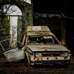 Abandoned Car Collection