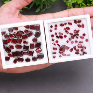 Puede incluir: Dos bandejas blancas llenas de gemas pulidas de color rojo intenso de varias formas. Las gemas incluyen cortes ovalados, cuadrados y rectangulares. Las bandejas se sostienen en una mano, con follaje verde en el fondo.