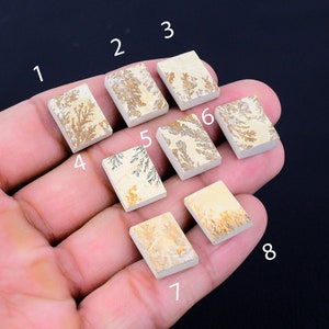 Könnte beinhalten: Acht quadratische Stücke dendritischer Achat, jedes mit einem einzigartigen Muster aus braunen und weißen Dendriten. Der Achat liegt zur Größenvergleich auf einer Hand.