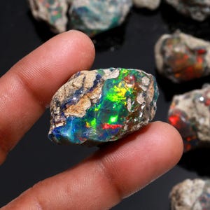 A hand holds a selection of rough Ethiopian opal stones with diverse shapes and colorful fiery inclusions.
