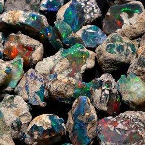 A close-up view of multiple raw black Ethiopian opal stones showing multicolored flashes against a dark background.