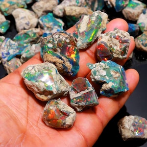 A hand holds several rough black Ethiopian opal stones displaying vibrant flashes of green, red, and blue color play.
