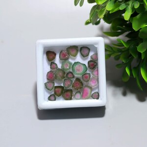 May include: A collection of watermelon tourmaline gemstones displayed in a white square box. The gemstones are a mix of pink, green, and clear colors. The box is set against a white background with green foliage in the upper right corner.