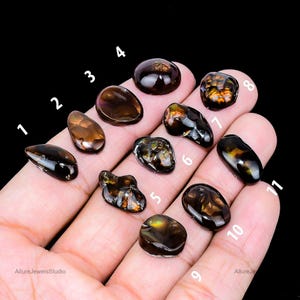 May include: A hand displays eleven polished, cabochon-cut gemstones. The stones vary in shape and size, with colors ranging from dark brown to amber and gold. Some stones have internal patterns. The gemstones are numbered 1 through 11.