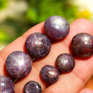 Puede incluir: Una colección de siete zafiros estrella tallados en cabujón de diferentes tamaños. Los zafiros son de color morado oscuro con un brillo plateado. Los zafiros se muestran en una mano.