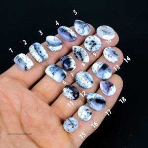 May include: Eighteen white and gray dendritic agate cabochons, numbered 1 through 18, arranged in a hand. The cabochons are oval, teardrop, and round shapes.