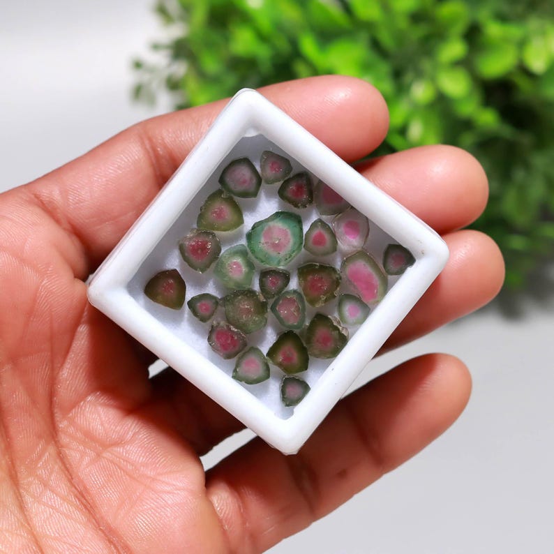 May include: A collection of watermelon tourmaline gemstones displayed in a white square frame. The gemstones have a distinctive color pattern, with pink and green hues. The frame is held in a hand, with a blurred green background.