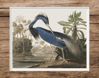 May include: A blue heron with a long neck and long legs stands in a swampy area with green plants. The bird is facing to the left and its head is turned to the right. The bird's feathers are a deep blue color.