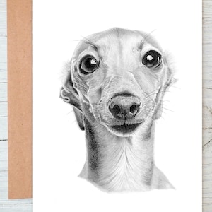 Art de chien lévrier lévrier Whippet italien salutations/carte de correspondance/impression (peut être personnalisé)
