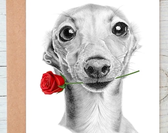 Whippet Italian Greyhound sighthound dog Love Card Valentines Card Anniversary Card Wedding Card Greetings/Note Card (can be personalised)