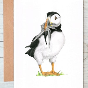 PUFFIN sea bird art  Greetings/Note Card/Print (can be personalised)