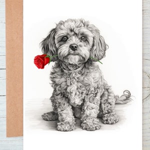 Cockerpoo Cockapoo (n. 4) Cavapoo Biglietto d'amore Biglietto di San Valentino Biglietto di anniversario Biglietto di matrimonio Biglietto d'auguri/biglietto di auguri (personalizzabile)