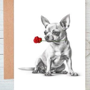 Chihuahua (Nr. 5) Hund Liebeskarte, Valentinstagskarte, Jubiläumskarte, Hochzeitskarte Kunst Grüße / Notizkarte (kann personalisiert werden)