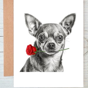 Carte d'amour de chien chihuahua (n° 11), carte de Saint-Valentin, carte d'anniversaire, carte de mariage art salutations/carte de correspondance (peut être personnalisée)