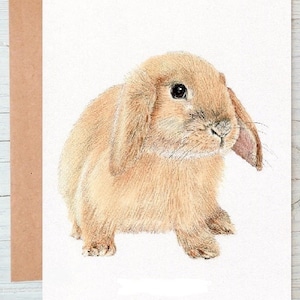 Lop Eared Rabbit bunny (No.4) colour art Greetings/Note Card/Print (can be personalised)