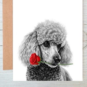 Poodle (no. 2) dog Love Card Valentines Card, Anniversary Wedding Card art Greetings/Note Card (can be personalised)