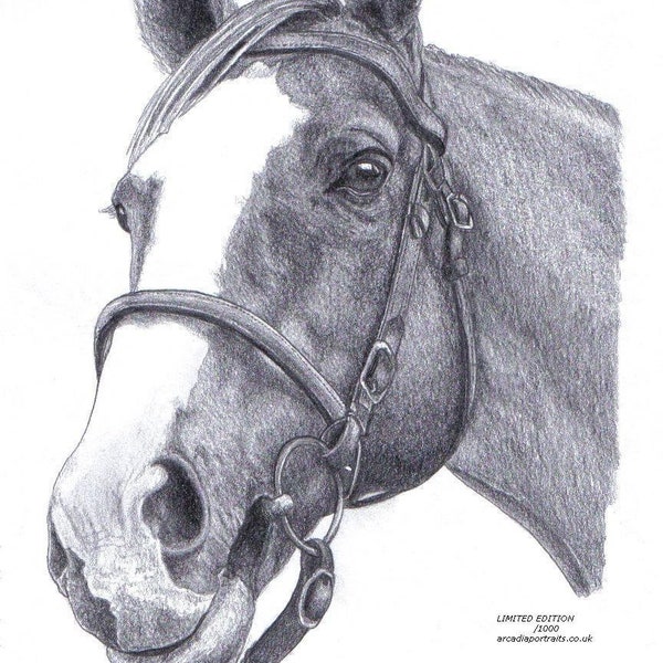 Horse (No.2) Equine art drawing prints A4/A3 size, Greetings/Note Card (Card can be personalised)