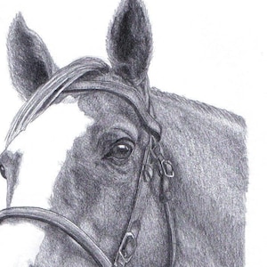 Cheval (n° 2) Impressions de dessin d'art équin au format A4, salutations/carte de correspondance/impression (la carte peut être personnalisée)