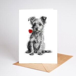 May include: A greeting card featuring a black and white pencil sketch of a scruffy terrier-type dog sitting upright. The dog is holding a single, vibrant red rose in its mouth. The card is positioned against a plain white background.