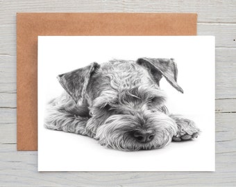 Schnauzer (No.9) dog art Greetings/Note Card (can be personalised)