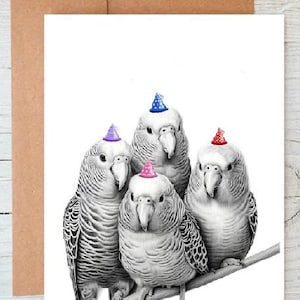 Art perruche perruche oiseau copains chapeau d'anniversaire salutations/carte de correspondance/impression (peut être personnalisé)