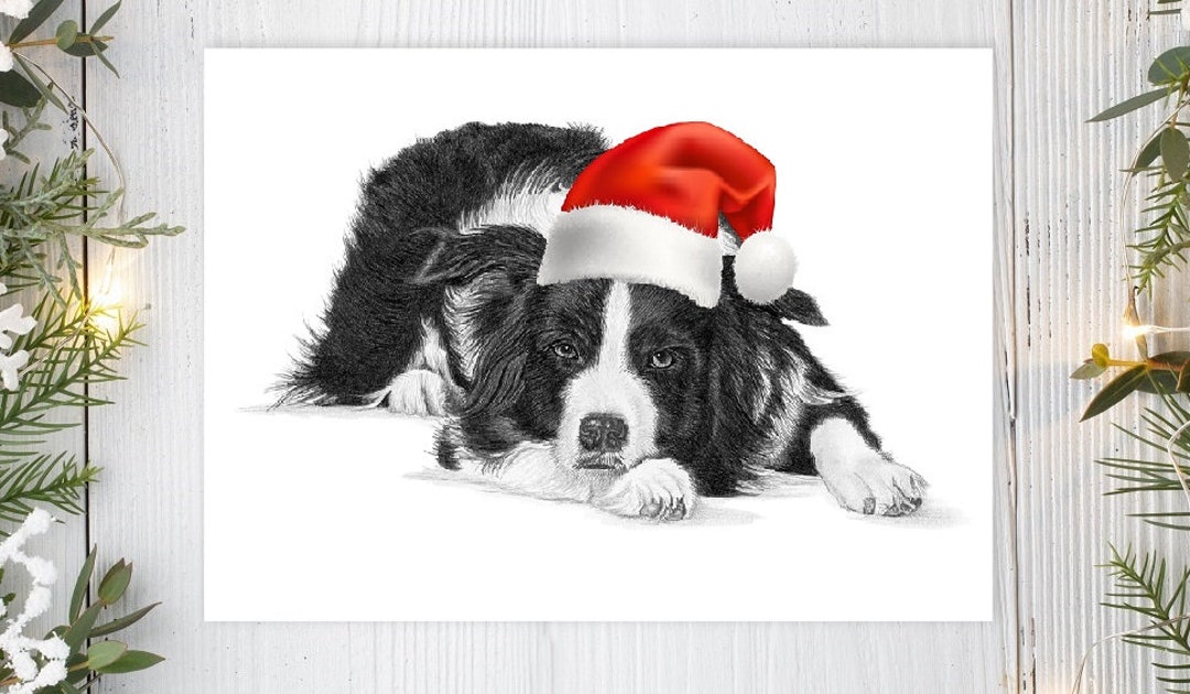 Border Collie (no.6) Dog Art Large A5 Size Christmas Xmas Card ( Can Be ...