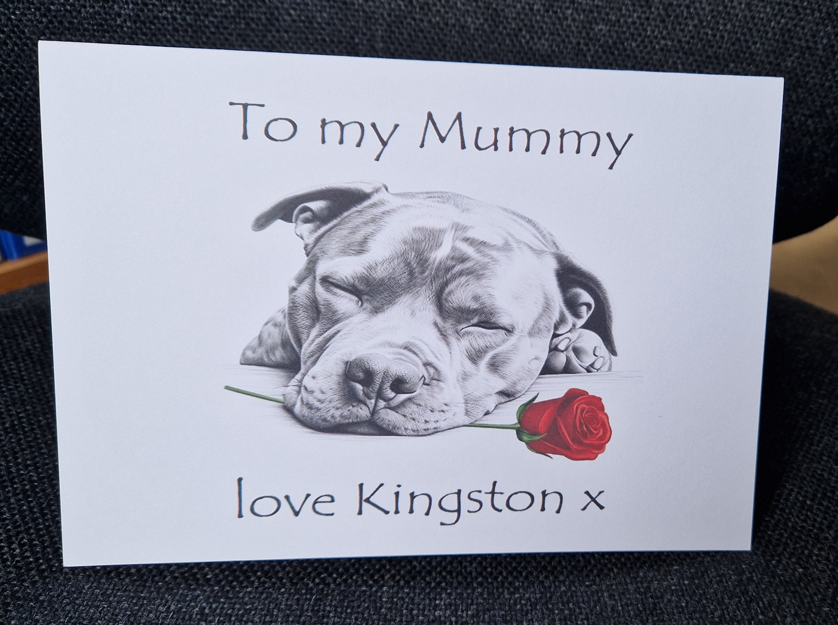 60 Second Makeover Staffy Tasse Staffy Papa Animal Domestic