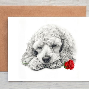 Cockerpooo Cockapoo (no. 6) Cavapoo Liebeskarte Valentinskarte Jubiläumskarte Hochzeitskarte Kunst Gruß-/Notizkarte (personalisierbar)