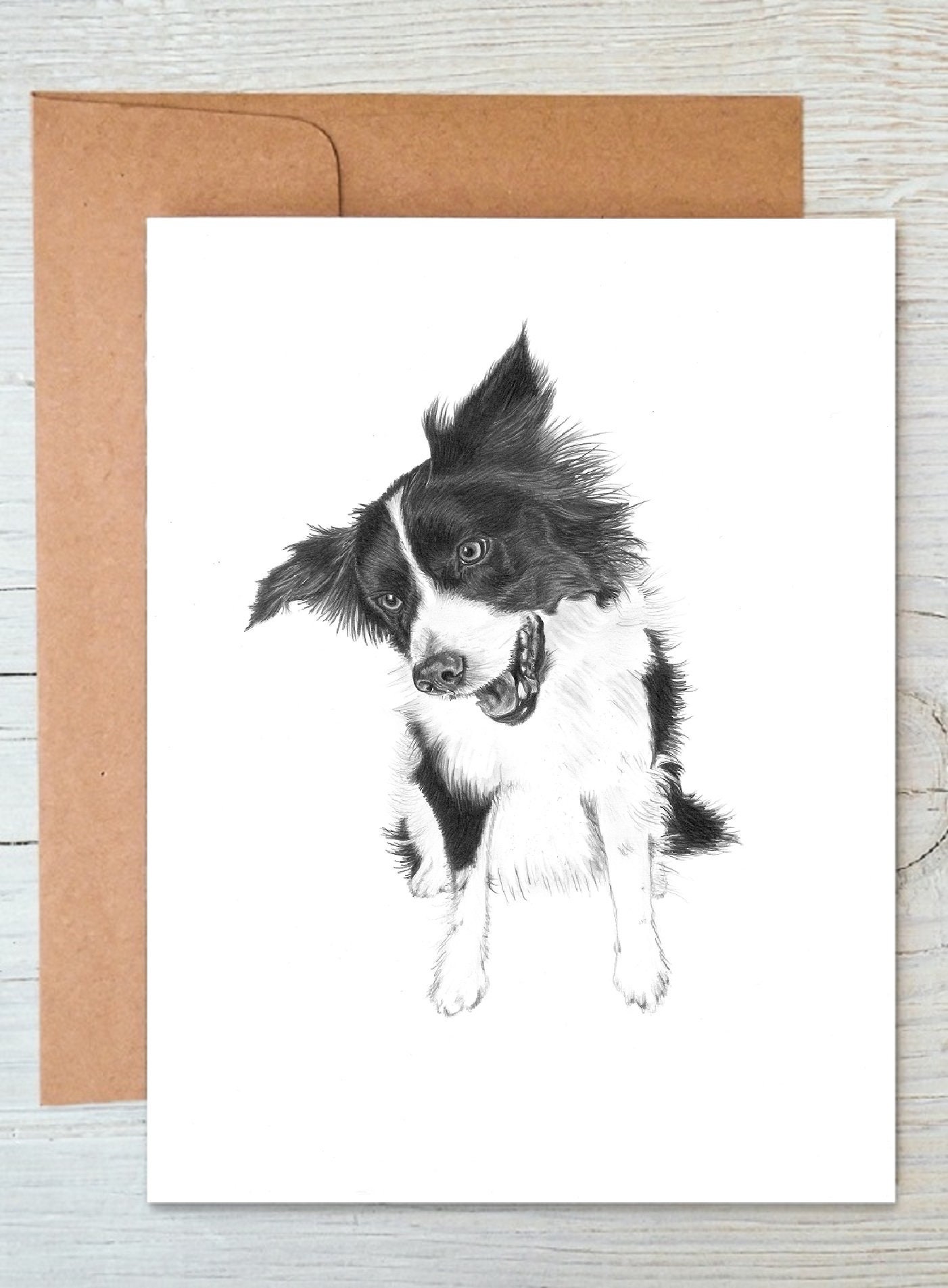 BORDER COLLIE SHEEP DOG QUALITY GLOSSY BIRTHDAY CARD 8"x6 - View #6