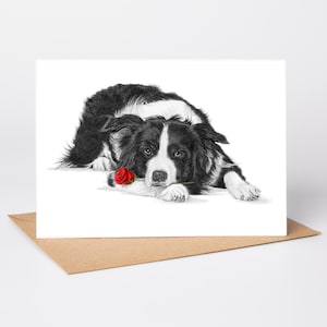 Border Collie (no.6) dog Love Card, Valentines Card, Anniversary Card, Wedding Card art Greetings/Note Card (can be personalised)