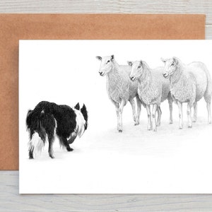 Art de chien Border Collie (n° 8) voeux/carte de correspondance/impression (peut être personnalisé)