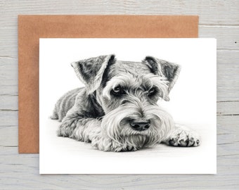 Schnauzer (No.5) dog art Greetings/Note Card (can be personalised)