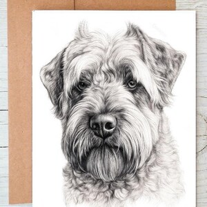 May include: A monochrome pencil drawing of a dog's head, with a long, textured beard and fur. The artwork is on a white card, with a brown envelope. The dog's expression is serious, with detailed shading.