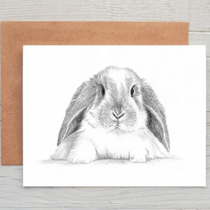 Lop Eared Bunny Rabbit (No.1) bunnie  art  Greetings/Note Card/Print (can be personalised)