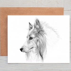 Rough Collie, art chien de berger shetland carte de voeux/carte/impression (peut être personnalisé)