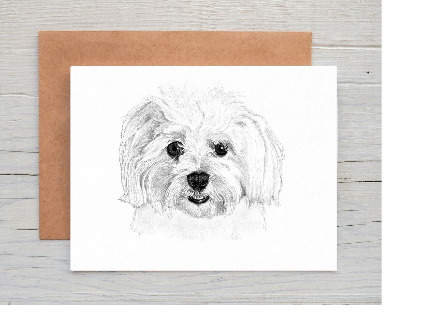 Maltese Dog Art Drawing Prints A4/A3 Size, Greetings/note Card card