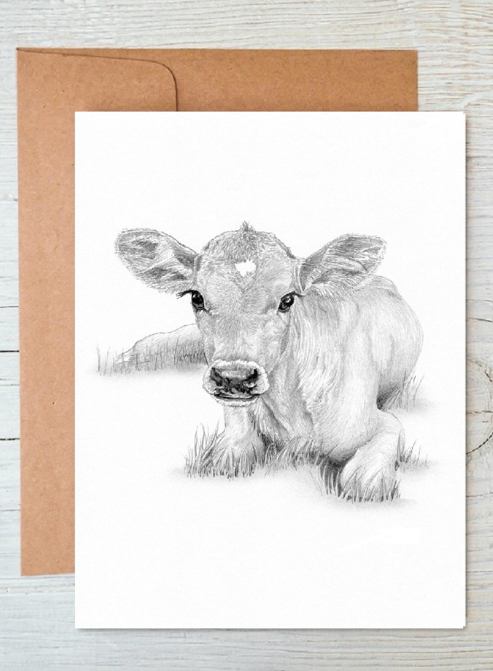 Jersey Cow, Calf Art Drawing Prints A4/A3 Size, Greetings/note Card ...