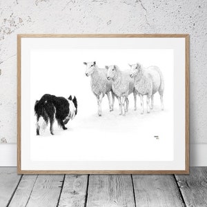 Border Collie (no.8) dog sheepdog herding sheep trialing trials art drawing prints A4/A3 size Greetings/Note Card (Card can be personalised)