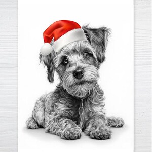 May include: A black and white pencil drawing of a small dog wearing a red and white Santa hat. The dog is lying down with its paws outstretched. The dog has a collar with a small tag.