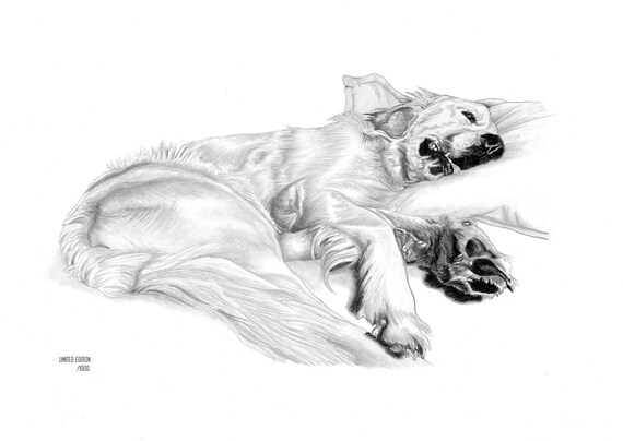 Golden Labrador Retriever Dog no:7 Art Drawing Prints A4/A3 | Etsy UK